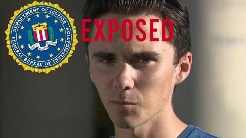 hogg-exposed